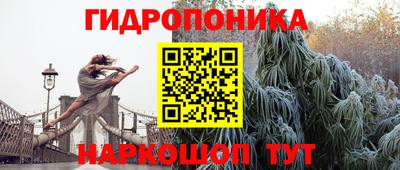 прущие грибы Мариинск