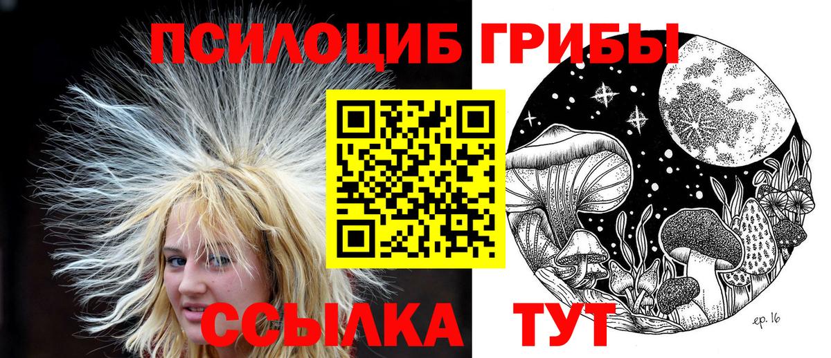 Галлюциногенные грибы Magic Shrooms  Псилоцибиновые грибы мицелий  Вход с VPN  Тихвин 